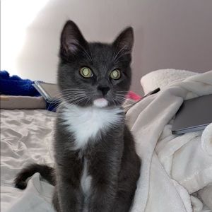 Meet your Posher, Haven